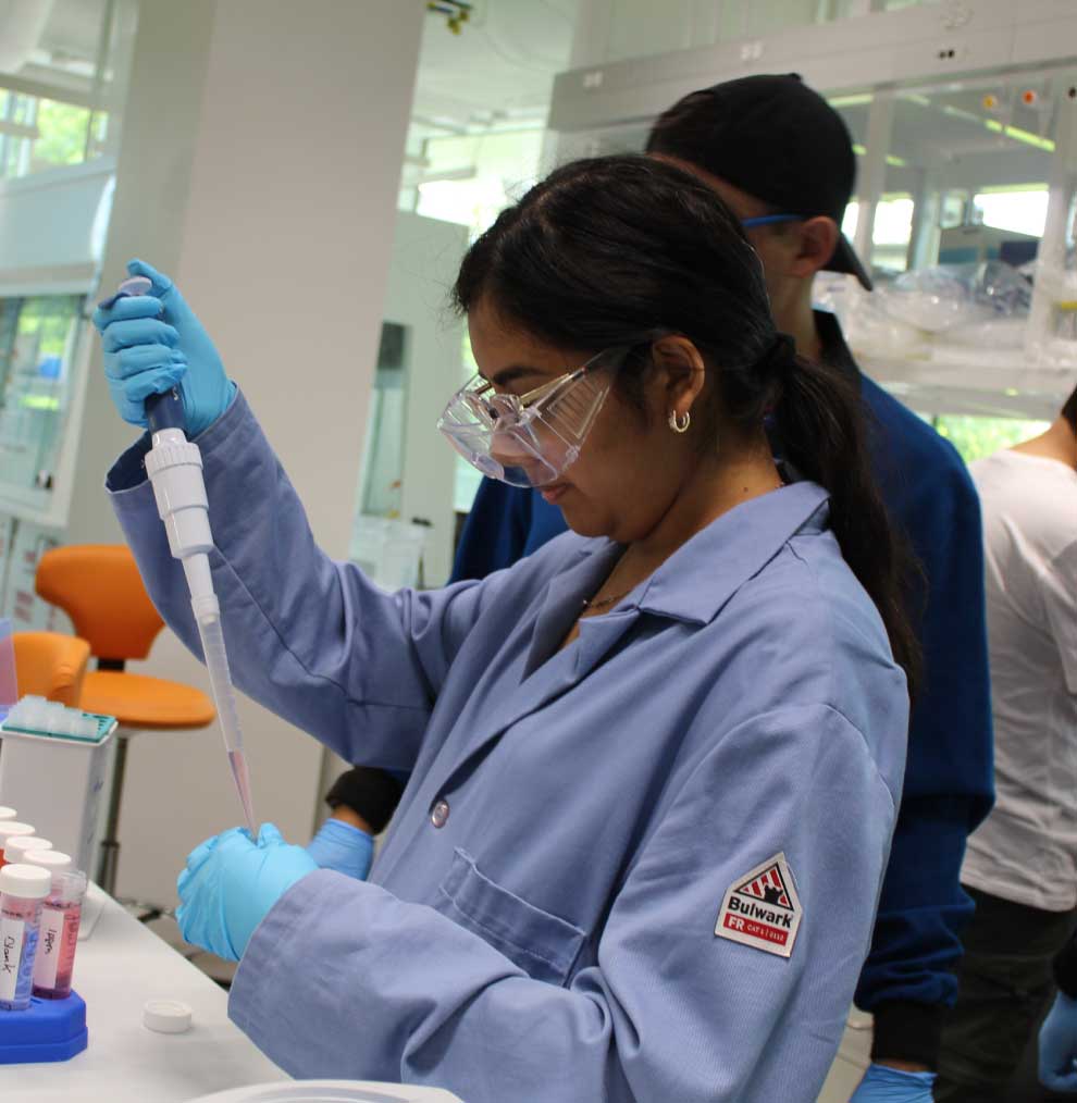 Pasantías de investigación