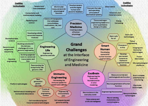 Los Cinco Desafíos que enfrenta la Bioingeniería en la Medicina